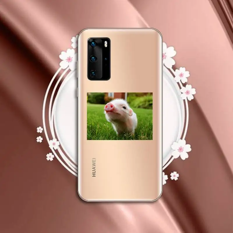 

Cute Little Pink Pet Pig Phone Case Transparent for Huawei P20 P30 P40 honor 8 10i P smart 2019 Samsung A71 A21S S10 20 plus