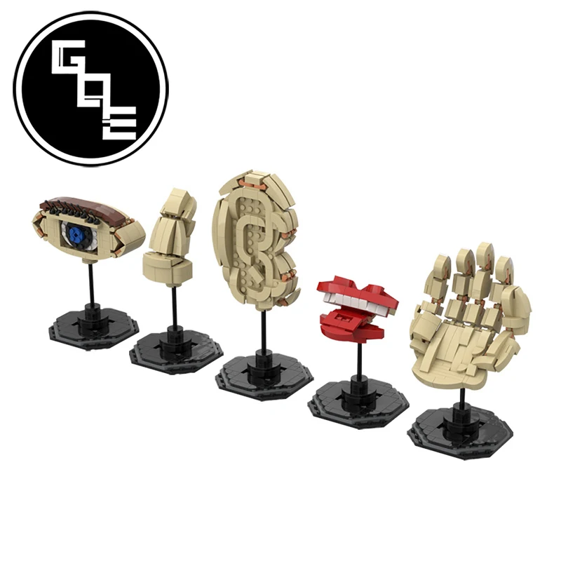 

Creator Expert The Five Senses MOC-49680 Educational Montessori Assembling model Building Blocks Bricks Toys For Children Gifts