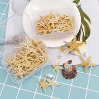 box natural diy nail art decoration mini shells starfish conch shells starfish ornaments manicure tools