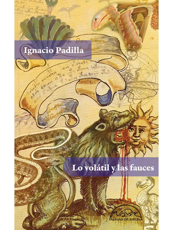 Это летучих и челюсти | Канцтовары для офиса дома