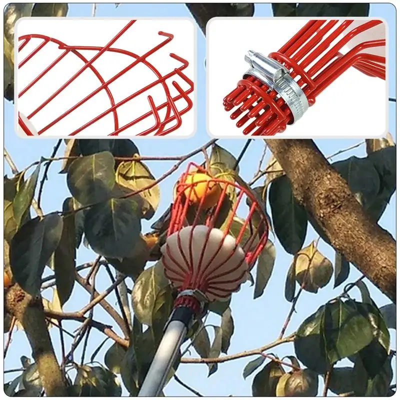 2Pcs Fruit Picking Device Durable Gardening Apple Pear Peach Tool Garden Supplies | Дом и сад
