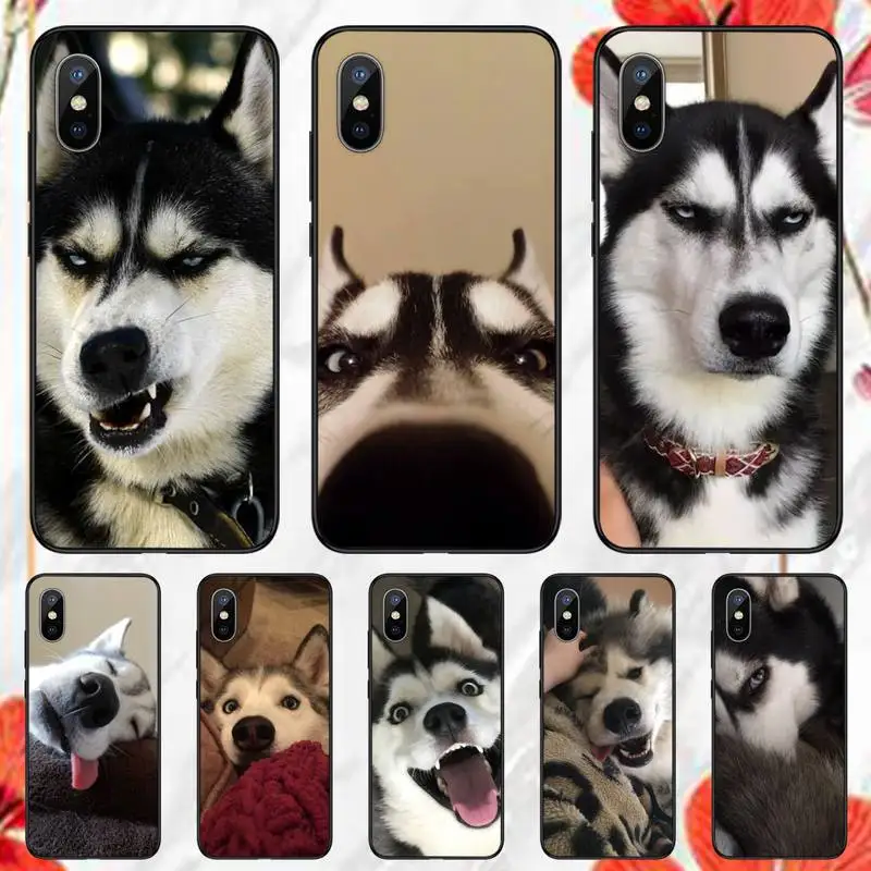

Husky Phone Case for iPhone 11 12 mini pro XS MAX 8 7 6 6S Plus X 5S SE 2020 XR