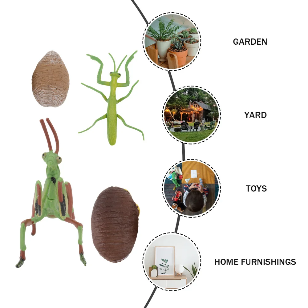 

1 Set Simulated Grasshopper Manties Simulated Animal Model (Assorted Color)