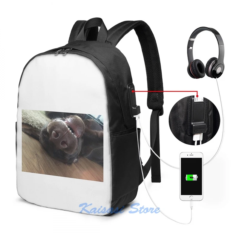 Забавный рюкзак с графическим принтом шоколада Лабрадора щенка USB-зарядка