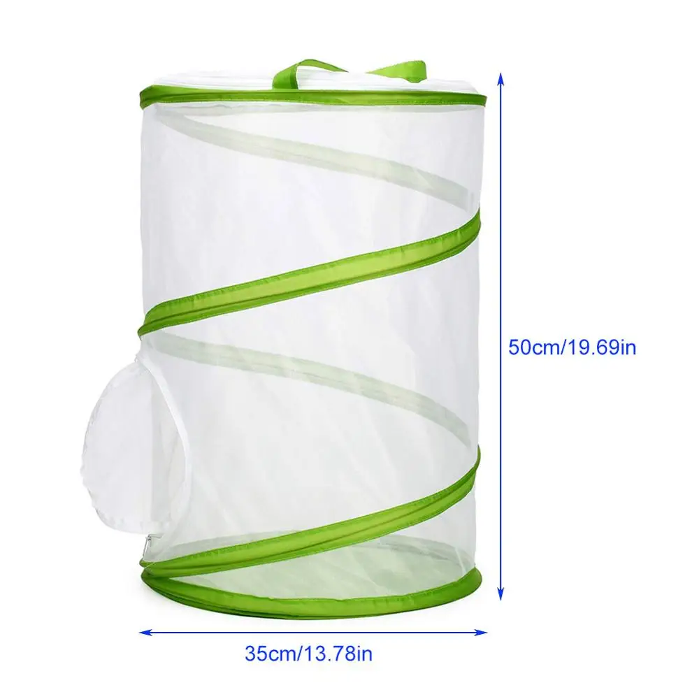 Большая сетчатая панель в виде насекомых и бабочек | Дом сад