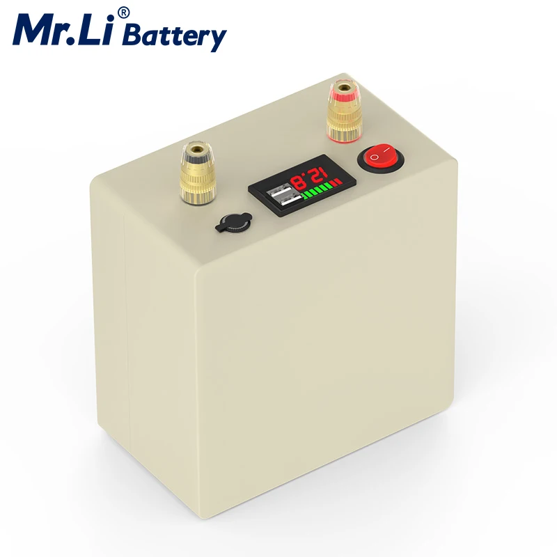 Mr.Li 12V 25Ah Lifepo4 аккумуляторная батарея с 6A зарядное устройство для Открытый