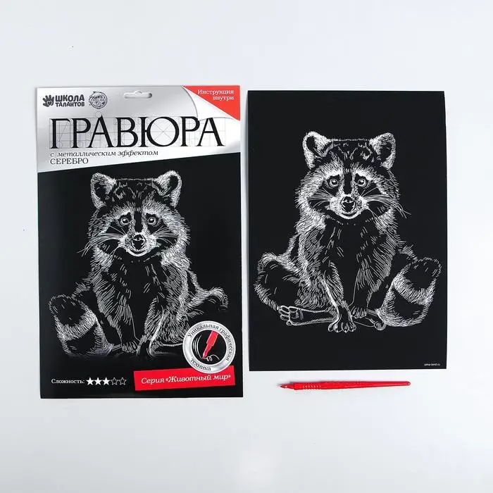 Гравюра Школа талантов на подложке "Енот" с металлическим эффектом серебра А4