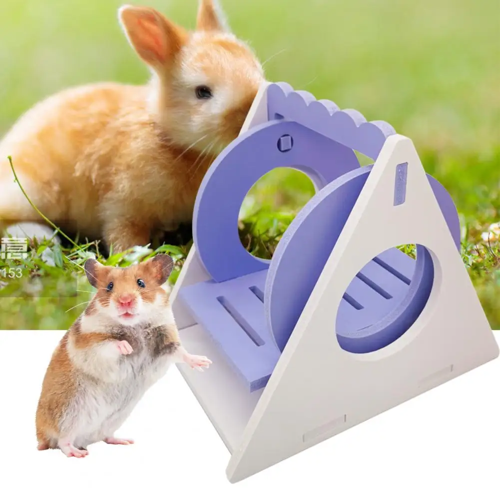 

Small Hamster Activity Toy Corrosion Resistant Wear-resistant Hamster Swing Toy Hamster Toy