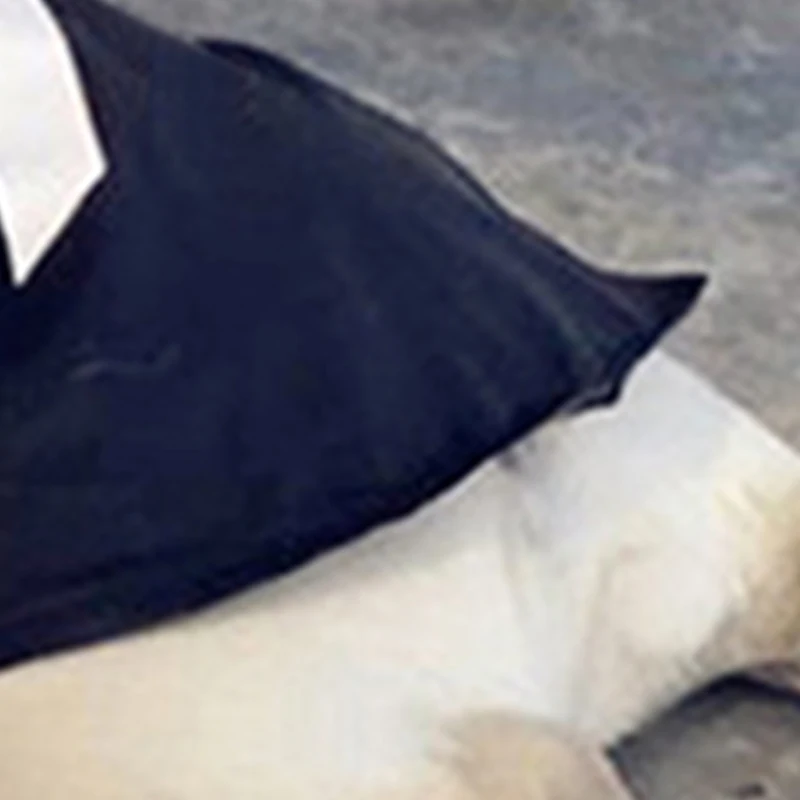 Толстовки для маленьких собак дождевик чихуахуа французского бульдога ветровка