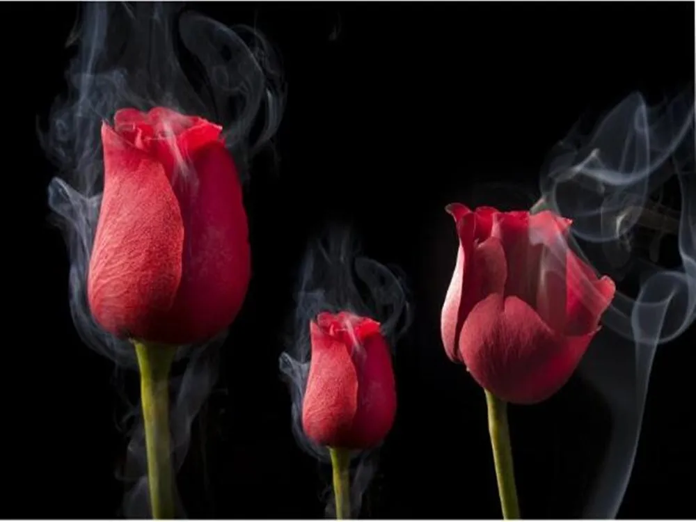 Пользовательский романтический дым красная роза milofi фон для телевизора обои