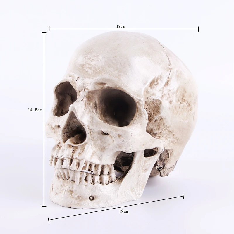1:1 Skeleton Skull Model Sculpture Ornaments Pattern Resin Crafts Teaching Home Bar Death Symbol Art Decoration | Дом и сад