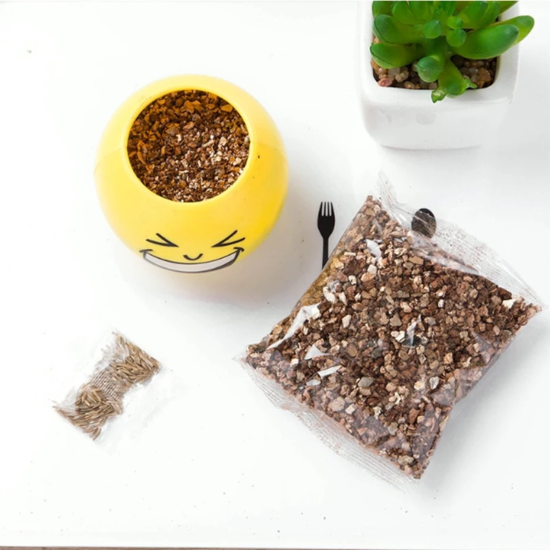 

office decor Small grass potted children indoor balcony cute expression long grass head doll baby pot planters Vase flower pot