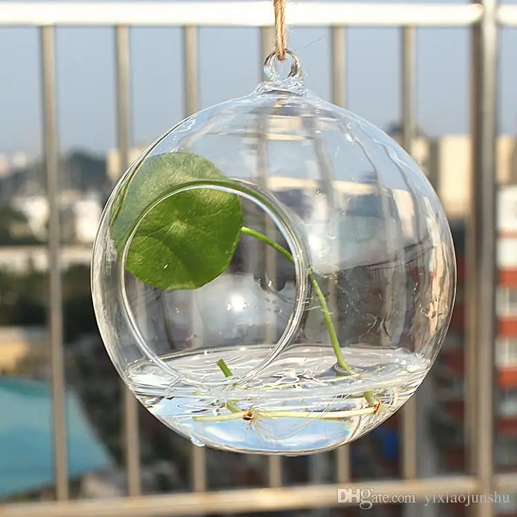 100 шт./кор. Чай светильник держатель/80 мм Стекло воздуха завод террариумов шар