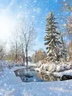 Снежный лес река зимнего леса сцены Снежинка фотографии фонов высокого качества с компьютерной печатью для постановочной фотографии