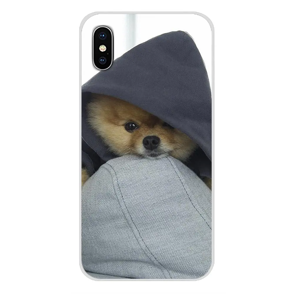 images 8 Pomeranian dogs для Apple IPhone X XR XS MAX 4 4s 5 5S 5C SE 6 6S 7 8 Plus ipod touch 5 6 Аксессуары чехлы для телефонов - Цвет: images 8