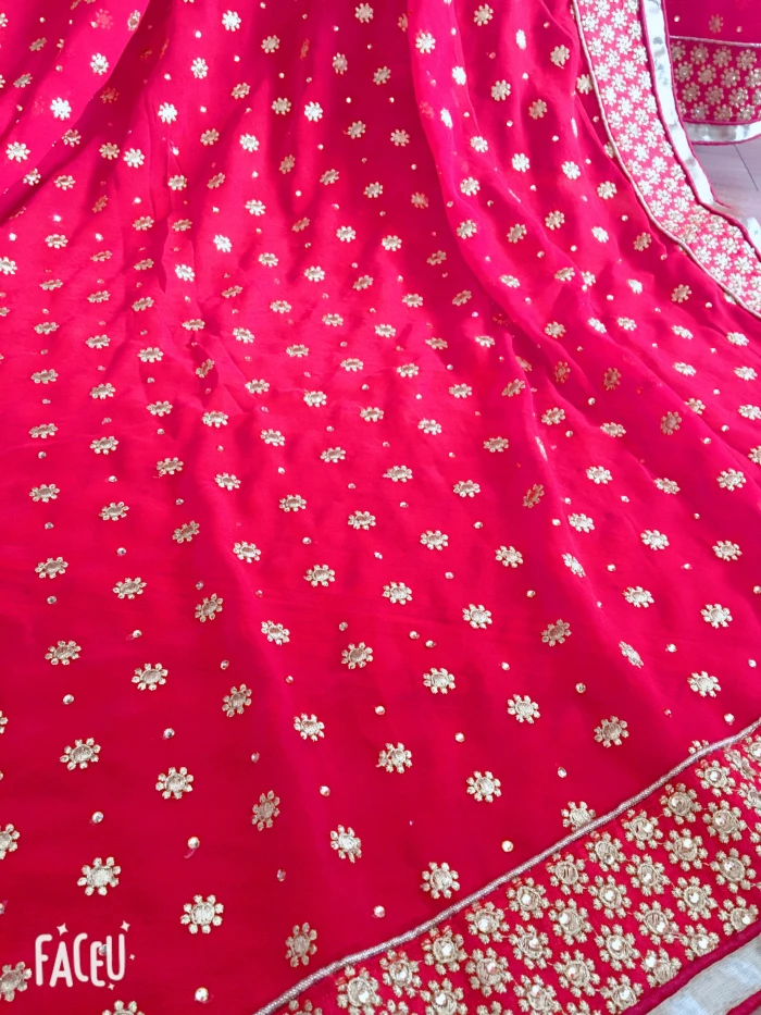 Sarees индийские платья сари женщины красный вышитый жоржет Болливуд свадебное