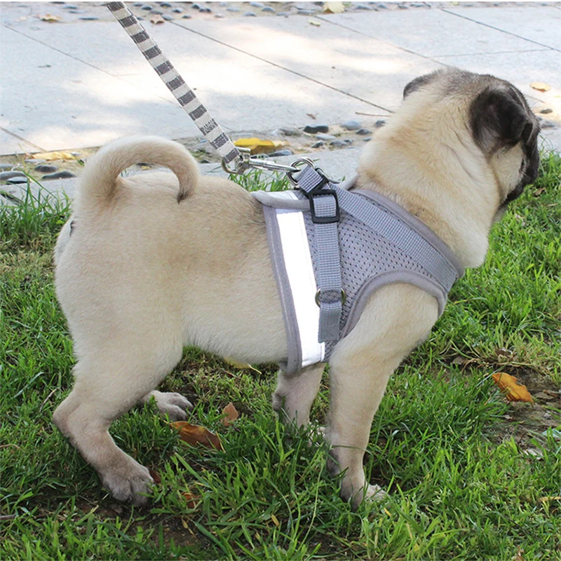 Светоотражающая безопасная шлейка и поводок для собак регулируемый дышащий