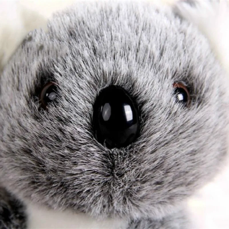 16 см Новое поступление супер милый маленький плюшевый медведь коала Приключения