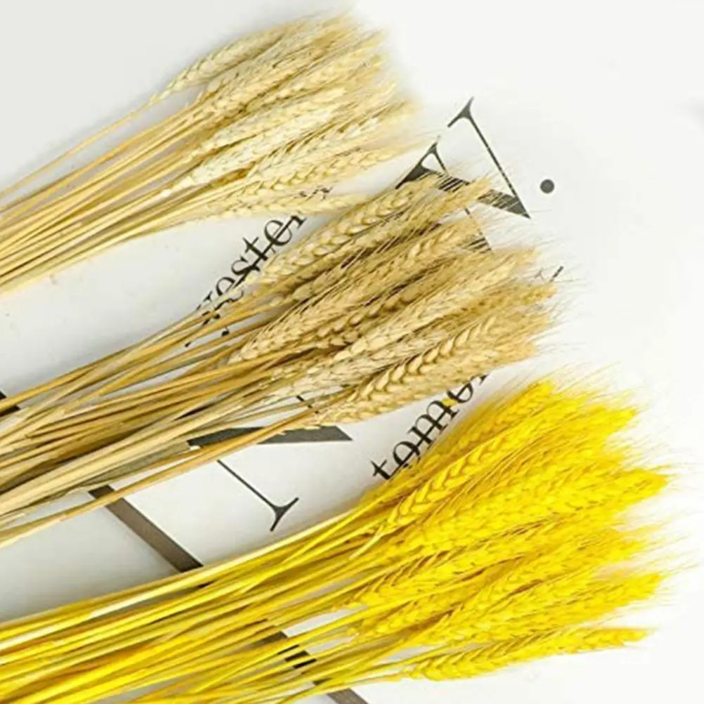 Натуральные колосья пшеницы 10 шт. натуральный цвет букет натуральных цветов для