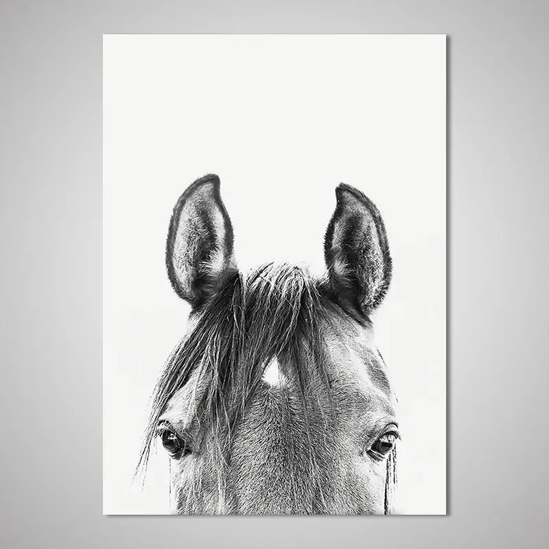 Goedkoop Paard Poster Canvas Art Posters En Prints Moderne Kunst Canvas Schilderijen Op De Muur Art Pictures Home Decoratie 1T
