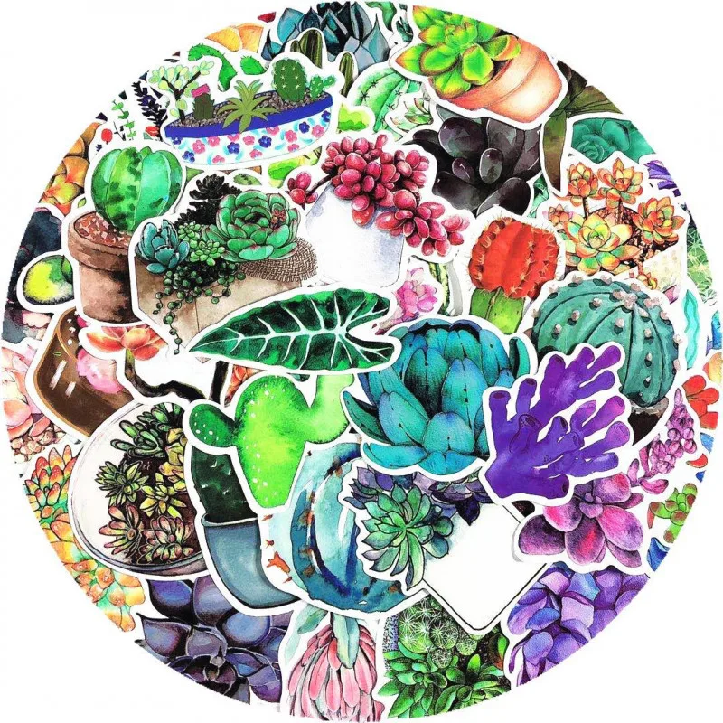 71 шт. наклейки на Чехлы и шлемы для свежих растений суккулентов|Наклейки стену| |