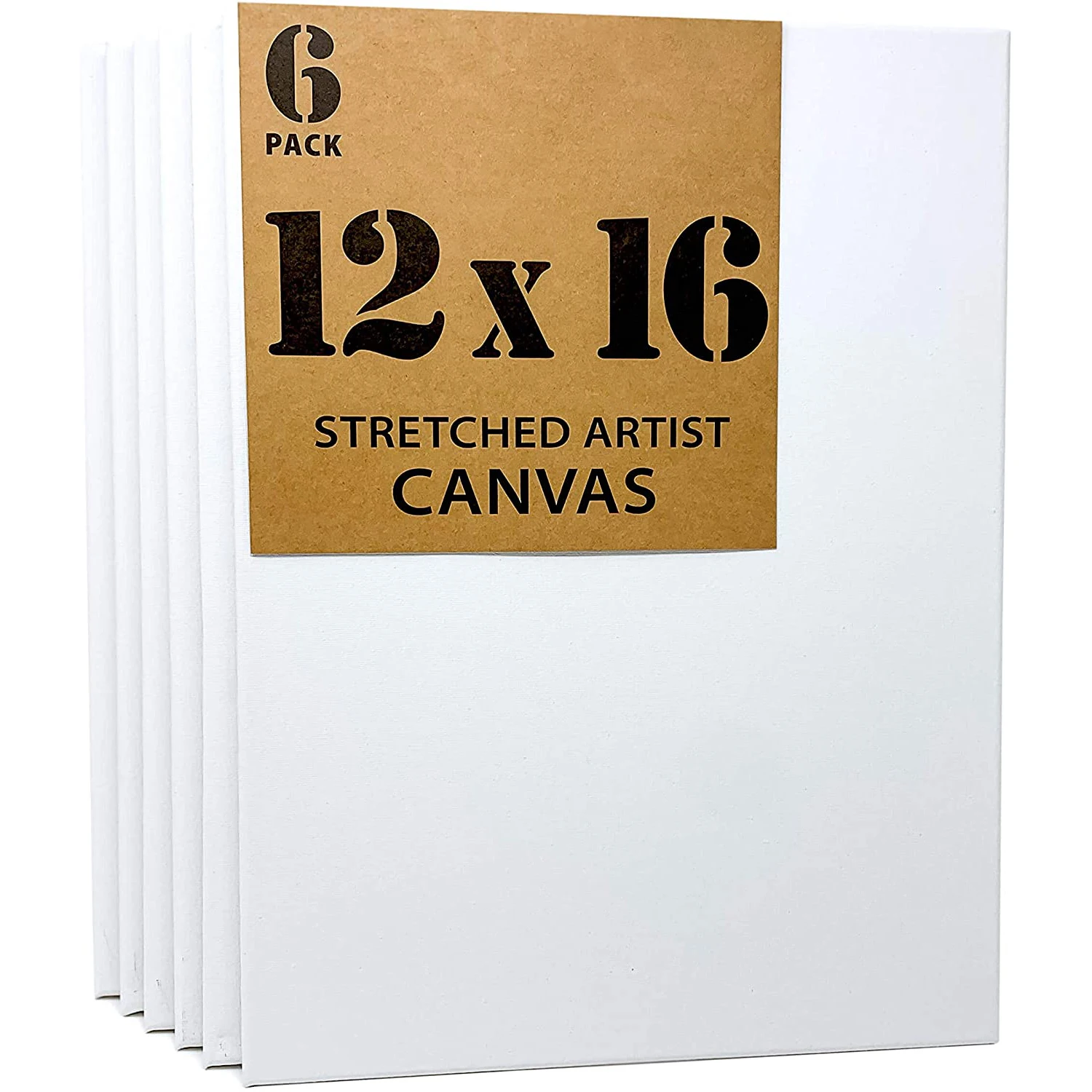 

12x16 Inch Paint Canvases for Painting Stretched Canvas Pack of 6,100% Cotton Art Supplies for Acrylic Pouring and Oil Painting