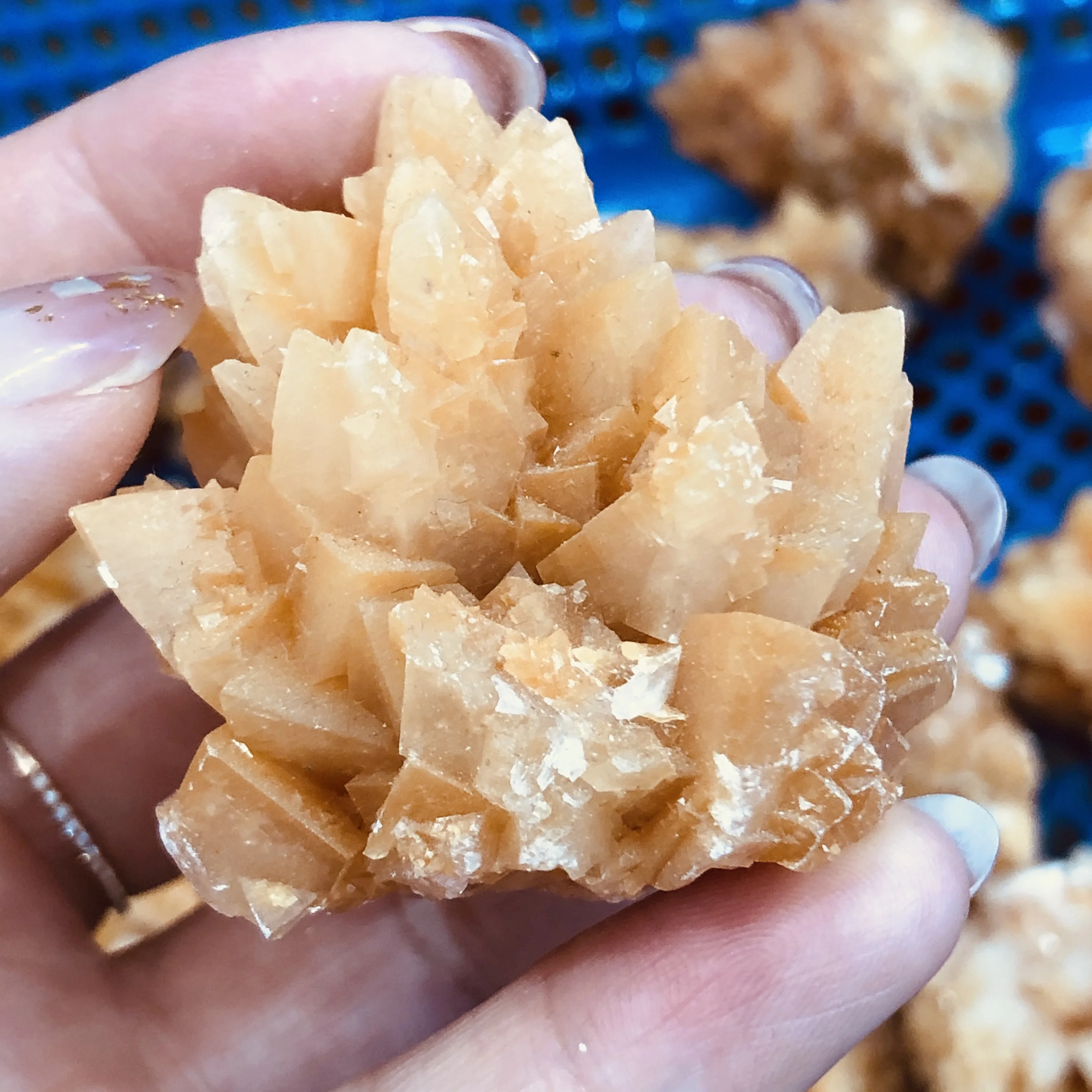 Натуральный морской минеральный коралл украшение для дома | Дом и сад