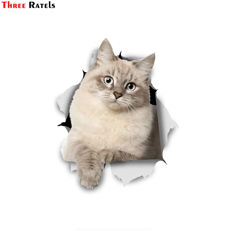 

Three Ratels FTC-1048 3D Cat Stickers Siberian Kitty Stickers For car window Wall Fridge Toilet