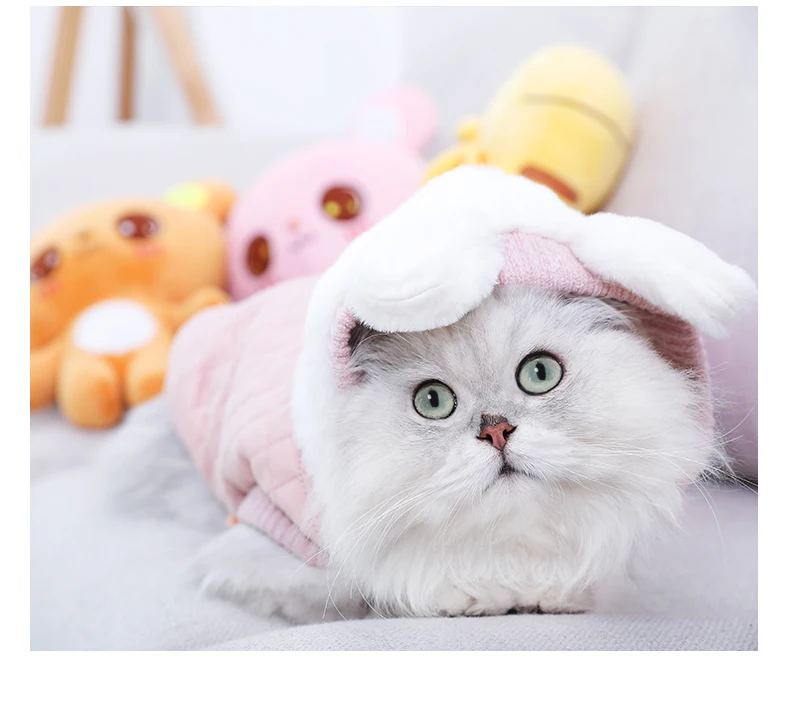 Теплая одежда для кошек HOOPET, зимняя куртка для питомцев, щенков, котят, пальто, толстовки для маленьких и средних собак, кошек, чихуахуа, одежда, костюм