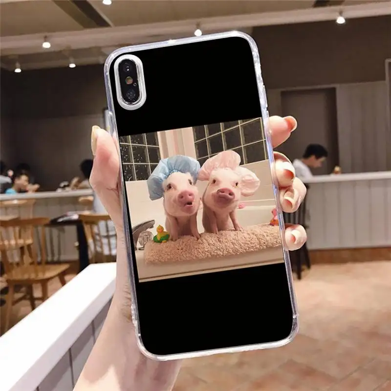 

Cute Little Pet Pig animal Phone Case Transparent soft For iphone 5 5s 5c se 6 6s 7 8 11 12 plus mini x xs xr pro max