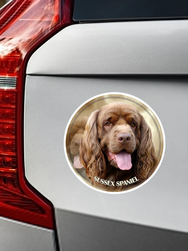 S40374 # различные размеры ПВХ наклейка Sussex Spaniel собака животное автомобиль для