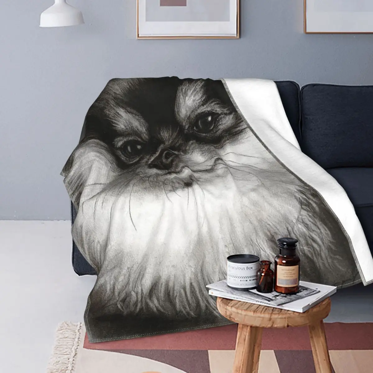

Pomeranian-mantas para perro, decoración textil de lana, Animal bonito, transpirable, Ultra suave, para sofá, colcha de coche