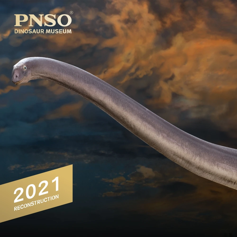 

1 шт. PNSO музеи динозавров, новая версия, научные художественные модели Mamenchisaurus 1:45