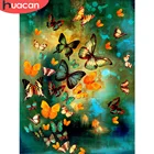 Алмазная живопись HUACAN 5D сделай сам, Новое поступление, животное, Бабочка, вышивка крестиком стразы, картина, домашнее искусство