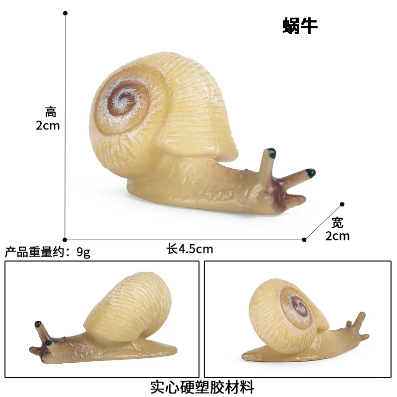 

Hot Simulation Animal Insect Model Mini Animals Snails Growth Cycle Ornaments Kids Cognitive Educational Toys for children Gift