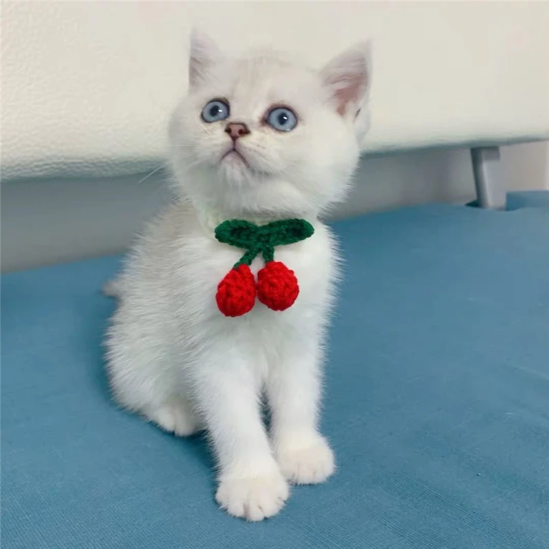 Модный вязаный ошейники для домашних животных Регулируемый собака Кот воротники