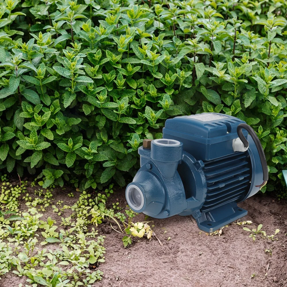 

370W 0.5HP Swimming Pool Pump Electric Water Pump Transfer Pump for Garden