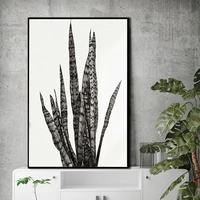 sansevieria trifasciat poster plant canvas painting nordic wall art pictures for living room black white modern decorative prins