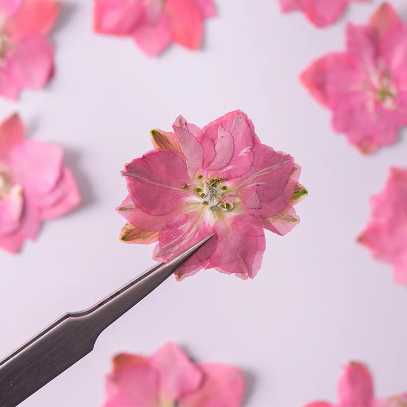 250 шт. подвеска из эпоксидной смолы с сухими растениями | Дом и сад