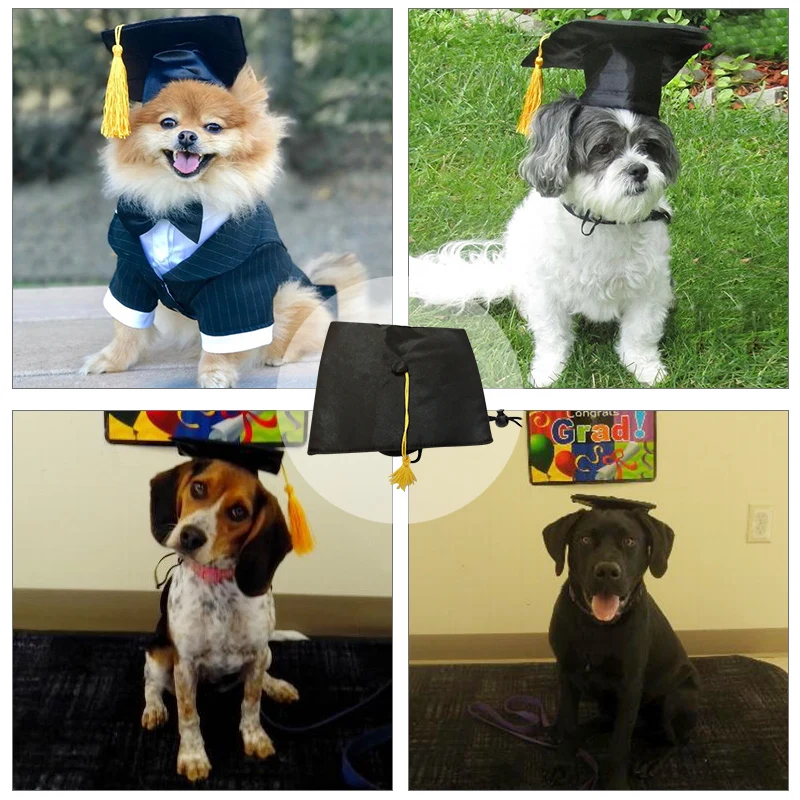 Милая женская шапка с кроликом модная для кошек и собак повседневная холщовая