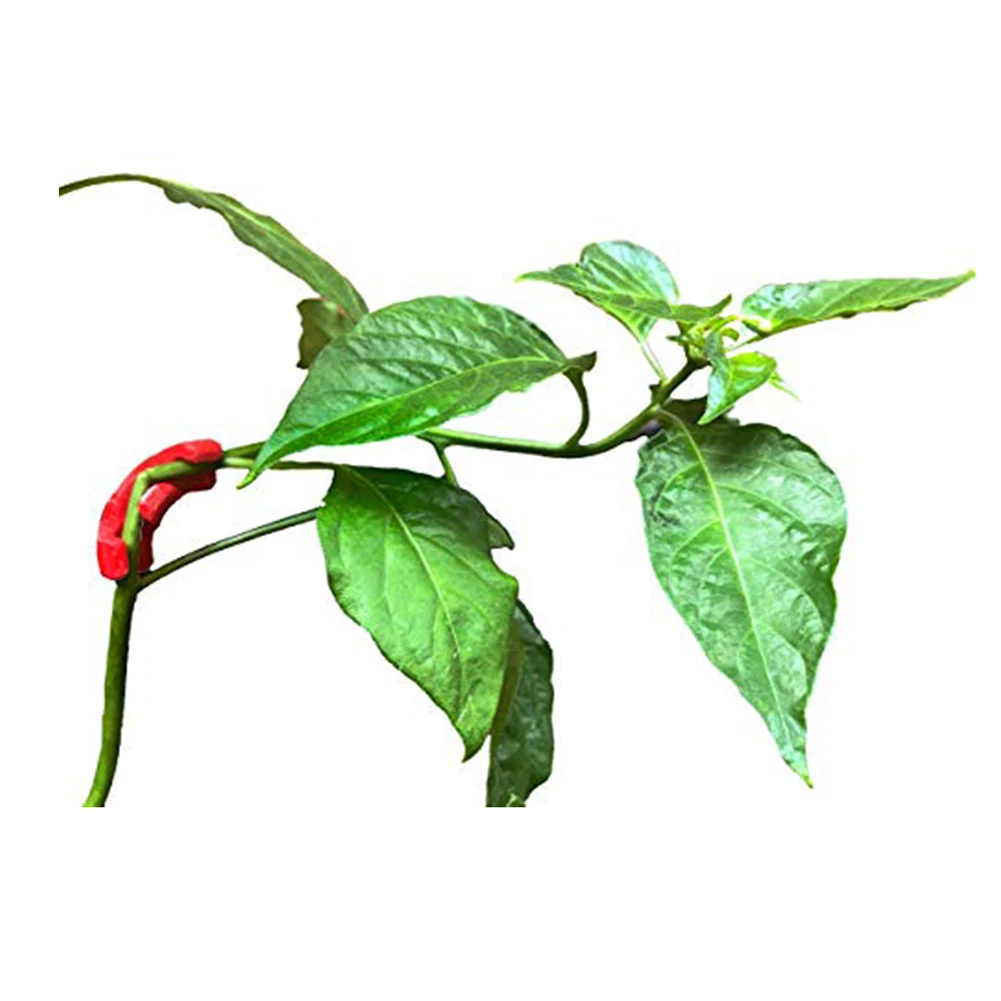 

5pcs Flowers Green Plant Growth Anti-bending Fixing Clip Supporting Vegetable Stems Clamps Silicone Support Clips