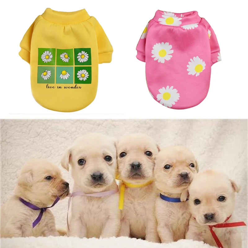 

Warm Pet Sweater Daisy Printing Comfortable Pullover Dogs Pets Clothing Winter Dog Clothes Durable Puppy Soft Dog Accessory