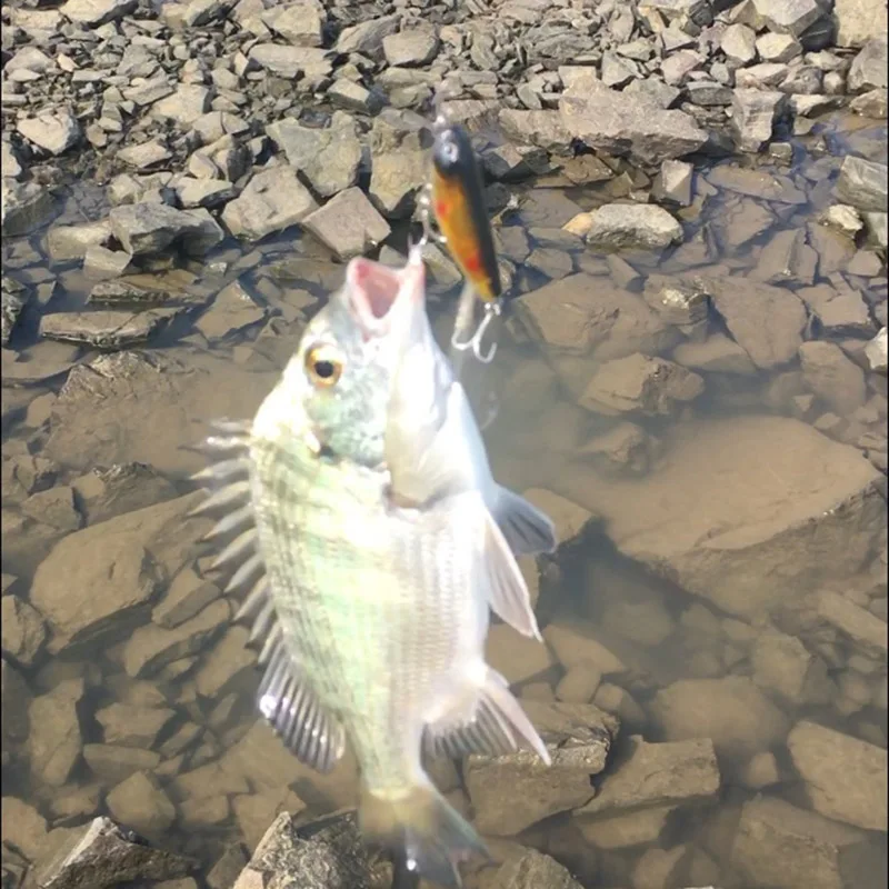 1 шт. 5 см г плавающий карандаш приманка для рыбной ловли топ жесткие приманки