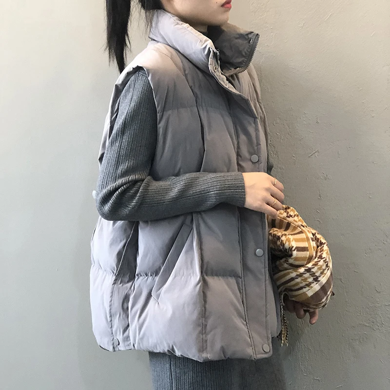 Women's Winter Jacket Women 2021 New Korean Style Solid Color Stand-up Collar Cotton Horse Fashion Sleeveless Loose | Женская одежда