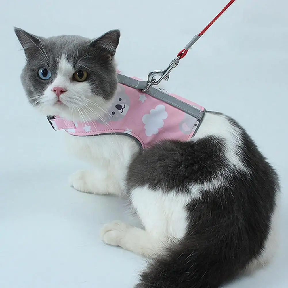 2pcs Creative Cat Outdoor Walking Harness Vest Reflective Chest Strap Kitten Leash Traction Rope Set | Дом и сад