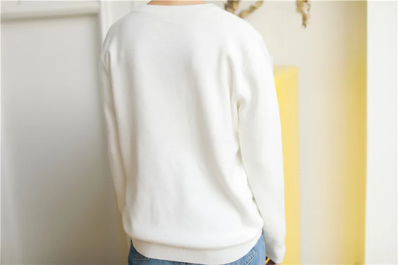 

Embroidery Sweater Women Cute Cactus Pattern O-neck Pullovers and Sweater Sweet Girl Autumn Casual Long Sleeve Knit Sweater