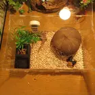 Контейнер для воды и еды YYSD для рептилий, черный пластиковый Террариум для кормления, разведения насекомых, черепашек, домашних животных