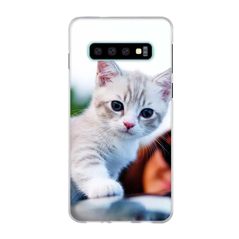 Чехол для телефона Samsung Galaxy S10 S10E Plus чехол S5 S6 S7 S9 силиконовый 3D чехол|Бамперы| |