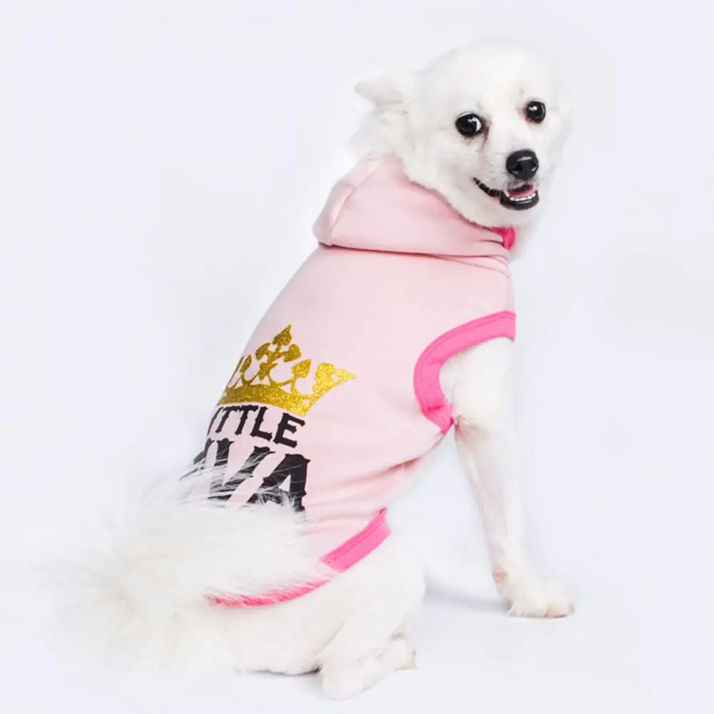 

Pet Apparel Pet Dog Cotton Hoodie Outfit Pet Sweatshirt Stylish Pet Costume