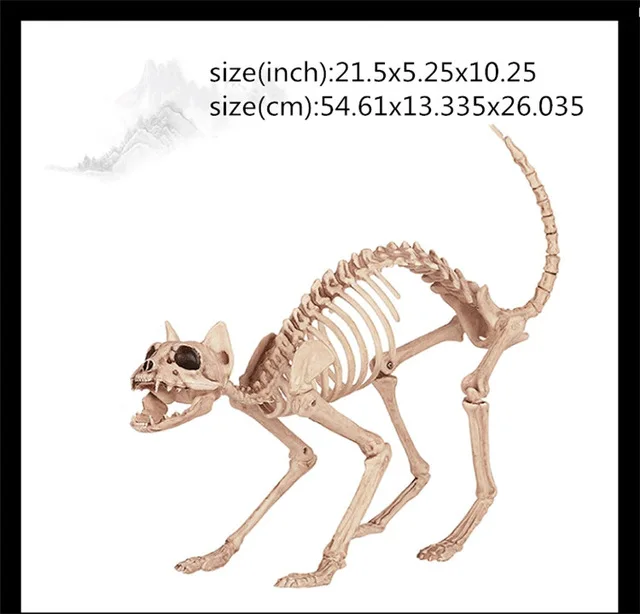 skeleton cat Хэллоуин реквизит ужас Скелет Дракон Собака Змея паук Скелет животного кости дом с привидениями Escape Horror украшения - Цвет: skeleton cat